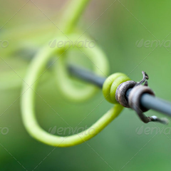 攻击网站服务器