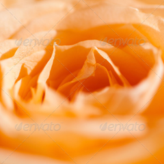 让运营更高效的ddos压力测试平台