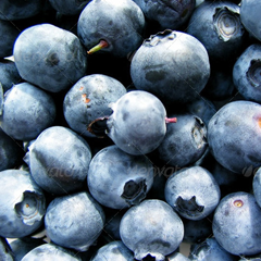 数据驱动决策的ddos压力测试平台