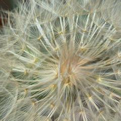 ddos在线压力测试平台