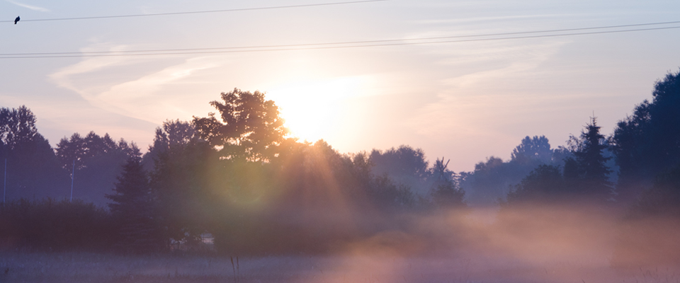 游戏账号购买的ddos压力测试平台